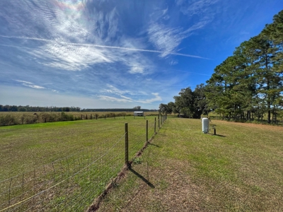 Farm House With Acreage! - image 10