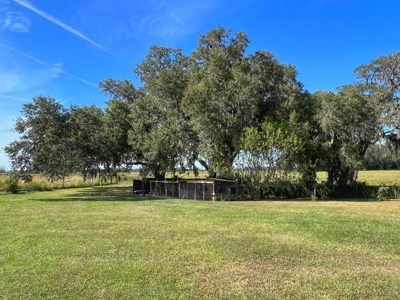 Farm House With Acreage! - image 8