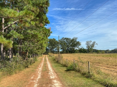 Farm House With Acreage! - image 16