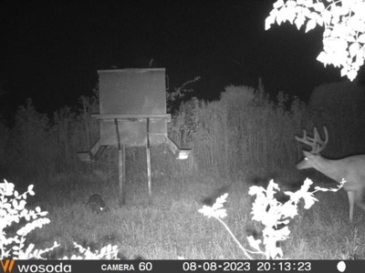 185+- Acres for Sale Claiborne County, MS - image 39
