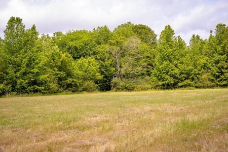 185+- Acres for Sale Claiborne County, MS - image 1