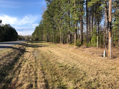 Rural Country Homesite Parcel for Sale in Calhoun County, AR - image 6
