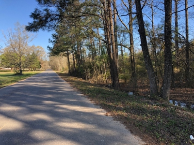 Rural Country Homesite Parcel for Sale in Calhoun County, AR - image 1
