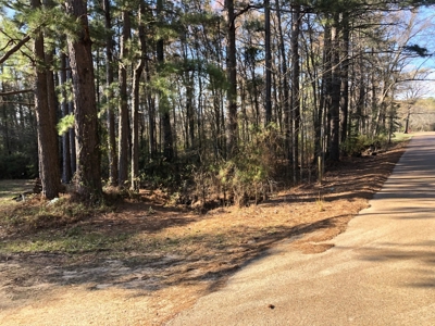 Rural Country Homesite Parcel for Sale in Calhoun County, AR - image 5