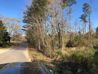 Rural Country Homesite Parcel for Sale in Calhoun County, AR - image 3