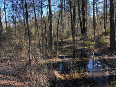 Rural Country Homesite Parcel for Sale in Calhoun County, AR - image 2
