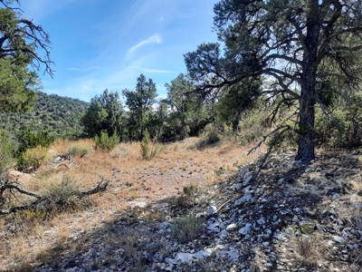 Beautiful Northern Az Off Grid Property. - image 16