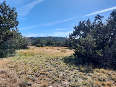 Beautiful Northern Az Off Grid Property. - image 5