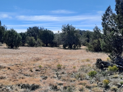 Beautiful Northern Az Off Grid Property. - image 2