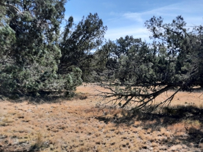 Beautiful Northern Az Off Grid Property. - image 7