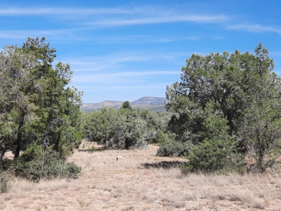 Beautiful Northern Az Off Grid Property. - image 11