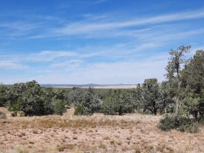 Beautiful Northern Az Off Grid Property. - image 9