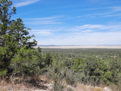 Beautiful Northern Az Off Grid Property. - image 17