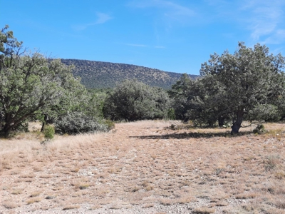 Beautiful Northern Az Off Grid Property. - image 12