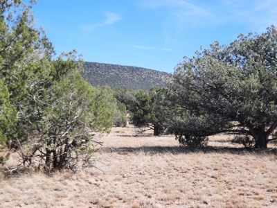 Beautiful Northern Az Off Grid Property. - image 8