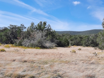 Beautiful Northern Az Off Grid Property. - image 6