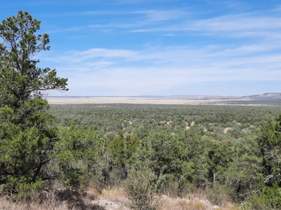 Beautiful Northern Az Off Grid Property. - image 14