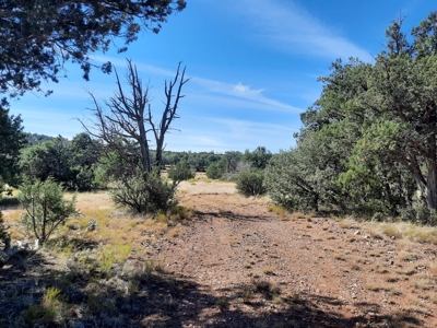 Beautiful Northern Az Off Grid Property. - image 1