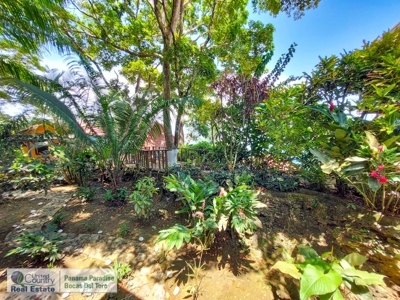 Beachfront Hotel, Bluff Beach, Bocas del Toro, Panama - image 23