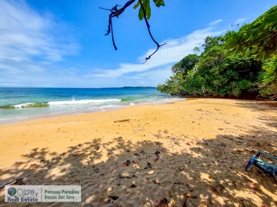 Beachfront Hotel, Bluff Beach, Bocas del Toro, Panama - image 45