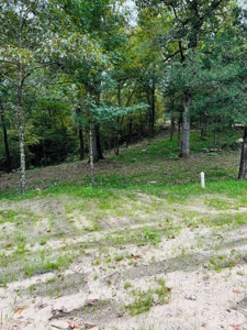 Off Grid Home And Acreage On Piney Creek In Melbourne, Ar - image 34