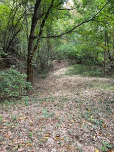 Off Grid Home And Acreage On Piney Creek In Melbourne, Ar - image 9