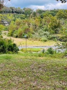 Off Grid Home And Acreage On Piney Creek In Melbourne, Ar - image 16