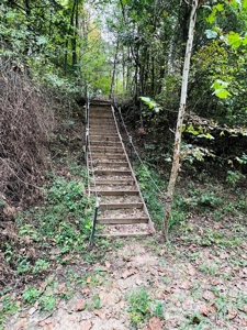 Off Grid Home And Acreage On Piney Creek In Melbourne, Ar - image 10