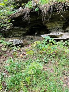 Off Grid Home And Acreage On Piney Creek In Melbourne, Ar - image 8