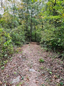 Off Grid Home And Acreage On Piney Creek In Melbourne, Ar - image 12