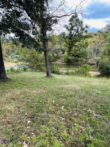 Off Grid Home And Acreage On Piney Creek In Melbourne, Ar - image 15
