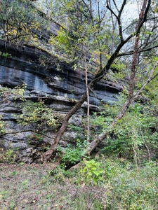 Off Grid Home And Acreage On Piney Creek In Melbourne, Ar - image 7