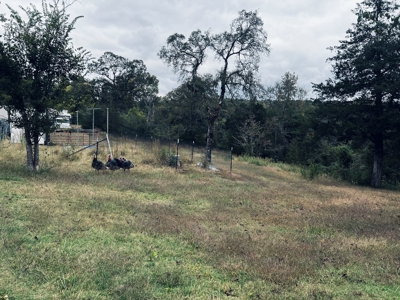 Off Grid Home And Acreage On Piney Creek In Melbourne, Ar - image 38