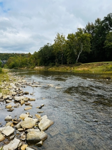 Off Grid Home And Acreage On Piney Creek In Melbourne, Ar - image 3