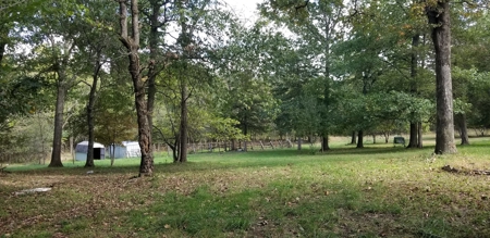 Land w/ Well, Septic, Electric, Propane, & sheds for sale - image 4