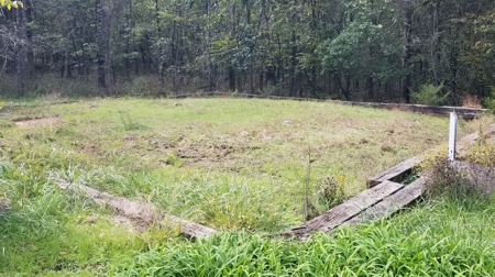 Land w/ Well, Septic, Electric, Propane, & sheds for sale - image 13