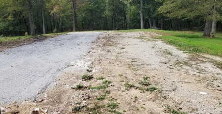 Land w/ Well, Septic, Electric, Propane, & sheds for sale - image 12