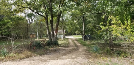 Land w/ Well, Septic, Electric, Propane, & sheds for sale - image 2