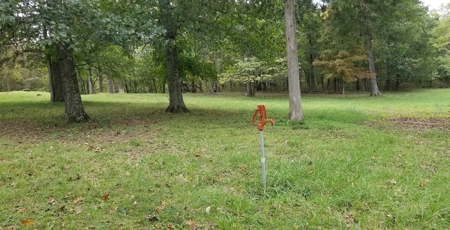 Land w/ Well, Septic, Electric, Propane, & sheds for sale - image 10