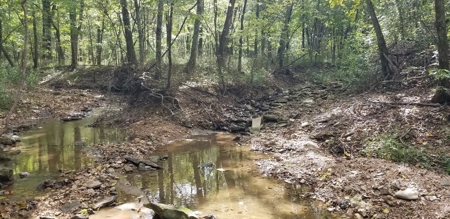 Land w/ Well, Septic, Electric, Propane, & sheds for sale - image 8