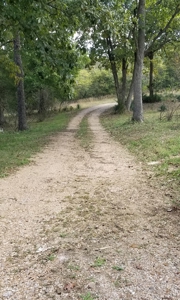 Land w/ Well, Septic, Electric, Propane, & sheds for sale - image 3