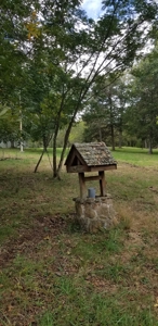 Land w/ Well, Septic, Electric, Propane, & sheds for sale - image 11