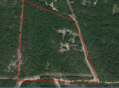 Land w/ Well, Septic, Electric, Propane, & sheds for sale - image 17