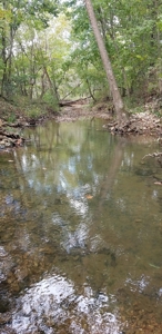 Land w/ Well, Septic, Electric, Propane, & sheds for sale - image 5