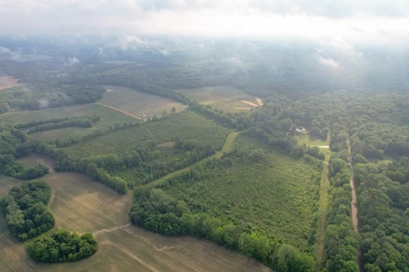 268+- Acres for Sale Claiborne County, MS - image 1