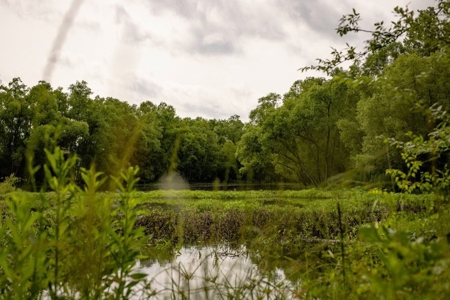 268+- Acres for Sale Claiborne County, MS - image 2