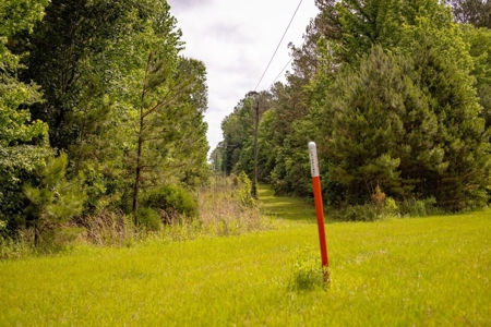 268+- Acres for Sale Claiborne County, MS - image 28