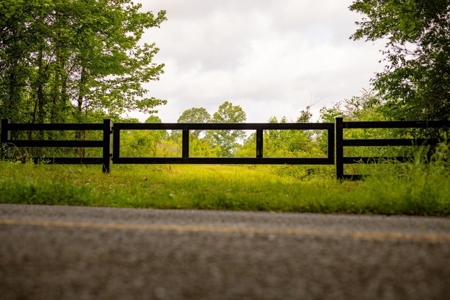268+- Acres for Sale Claiborne County, MS - image 12
