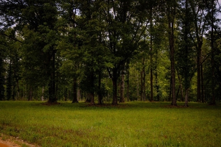 268+- Acres for Sale Claiborne County, MS - image 41