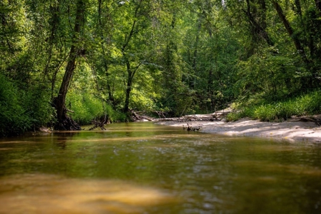 268+- Acres for Sale Claiborne County, MS - image 35